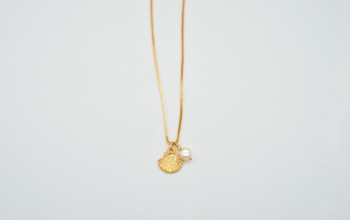 Goldene Halskette mit goldener Muschel und Süsswasser Perle