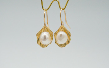 Goldene Muschel Ohrringe mit Süsswasser-Perle