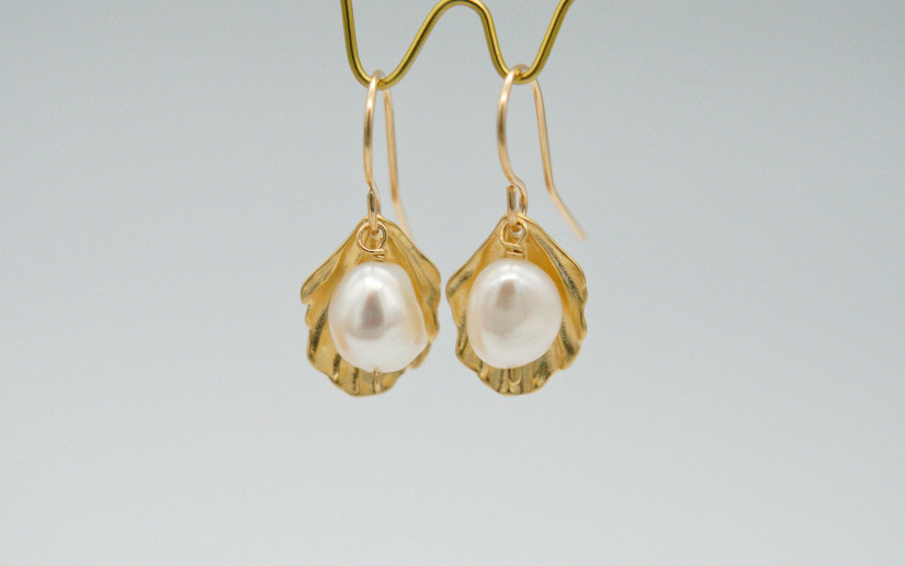 Goldene Muschel Ohrringe mit Süsswasser-Perle