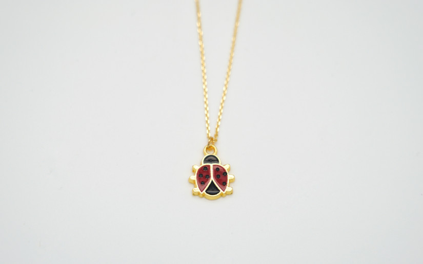 Goldene Halskette mit Glücks-Käfer